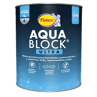 Pintura Aqua Block Ultra