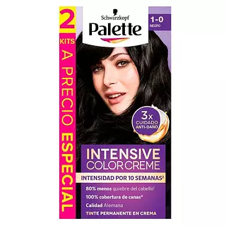 Tinte Palette Kit 1-0 Negro