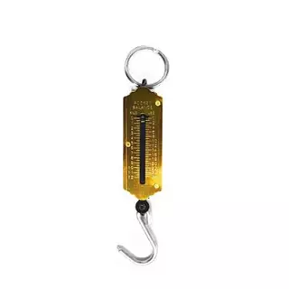 Balanza Resorte 12kg