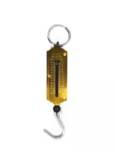 Balanza Resorte 12kg