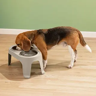 Comedero Alto Para Perro Mediano | Ergonómico Y Resistente