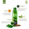 Bebida Verde Para Diluir - Clorofila