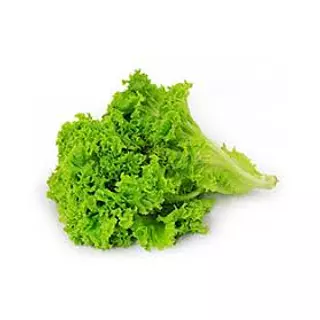 Lechuga Crespa