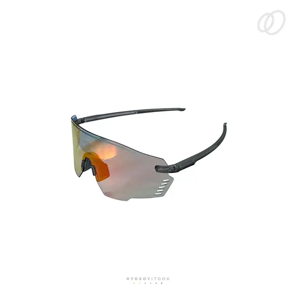 Gafa Itook Fotocromática Uv 400% Grey / Red