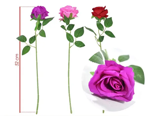 Rosa Variocolor Pequeña