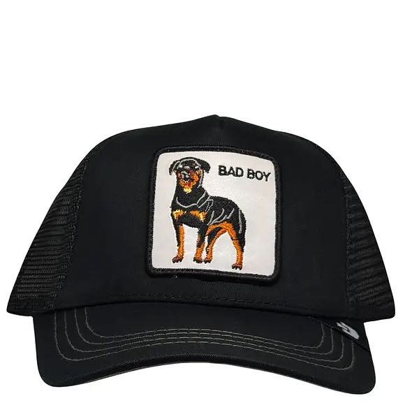 Bad Boy Rottweiler