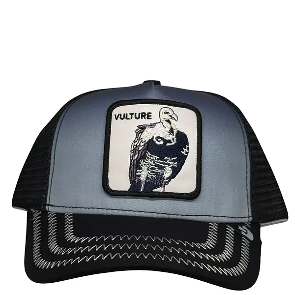 Vulture Buitre
