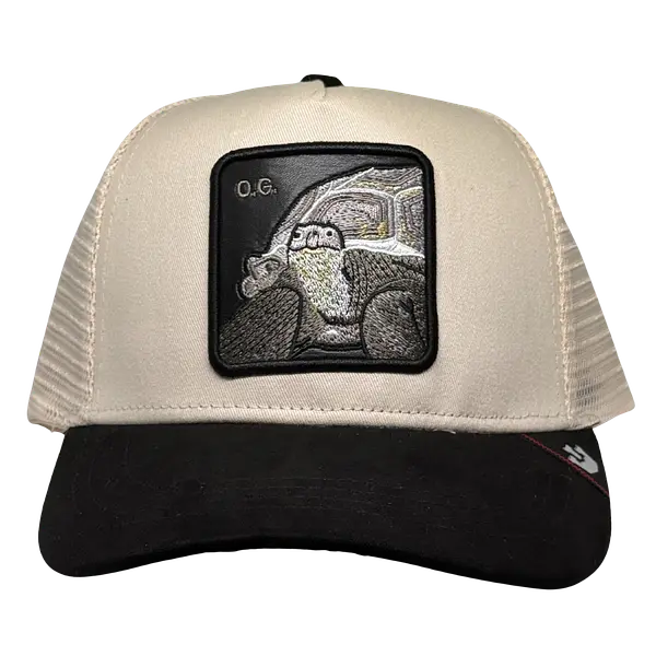 O.G Tortuga Beige