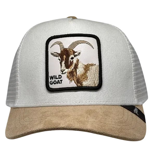 Wild Goat