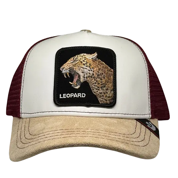 Leopard