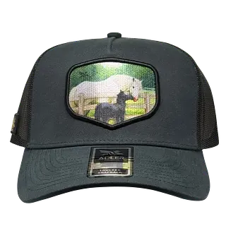 Adler Caballo Y Potro