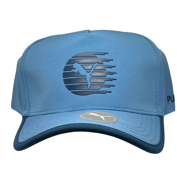 Puma Azul