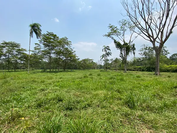 Finca Ecológica- Guacavía