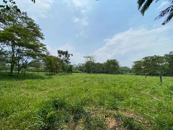 Finca Ecológica- Guacavía