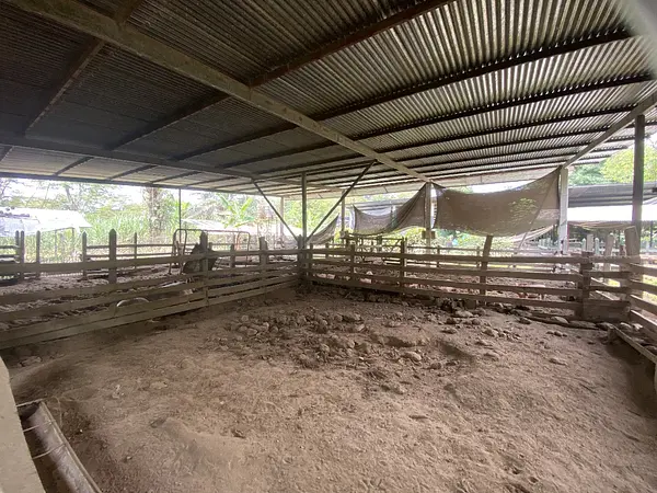 Finca Ecológica- Guacavía