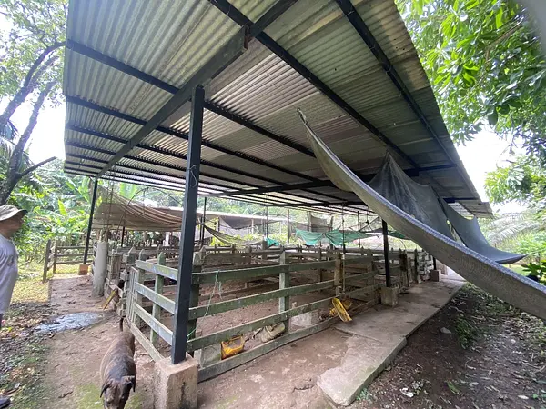 Finca Ecológica- Guacavía