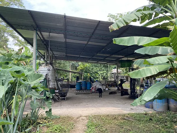 Finca Ecológica- Guacavía