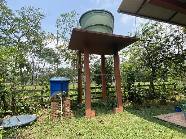 Finca Ecológica- Guacavía