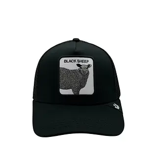 Black Sheep Clásica