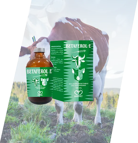 Betaferol-E Solución Inyectable