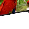 Tv Challenger 50 Pulgadas Uhd 50kg85 Bt 4k Hdr Google 4552