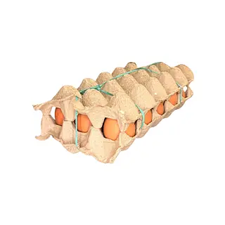 Media Cubeta De Huevos Aa