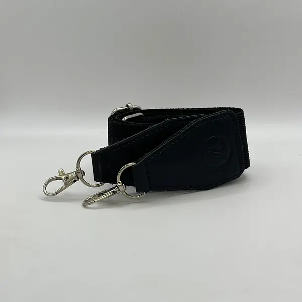 Carriel Louis Vuitton Cuadros