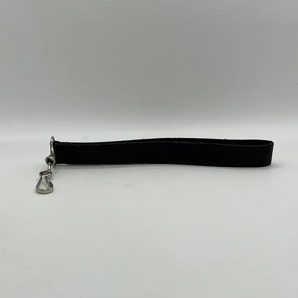 Carriel Louis Vuitton Cuadros