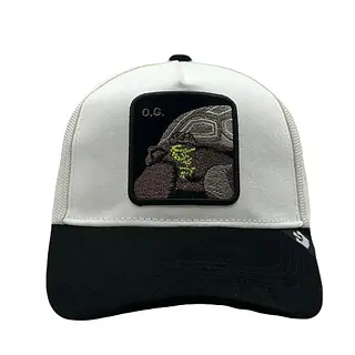 O.G Tortuga Blanca Vicera Negra