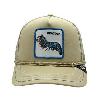 Peacock Beige Cordón