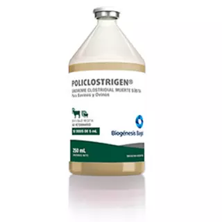 Policlostrigen T12 X 50 Dosis