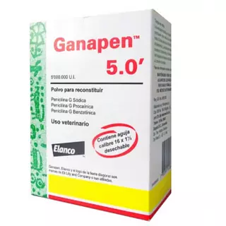 Ganapen X 5