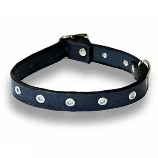 Collar Cuero Tache Redondo 2 L