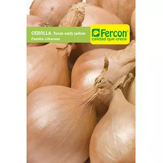 Cebolla Amarilla Texas