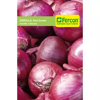 Cebolla Roja Red Creole