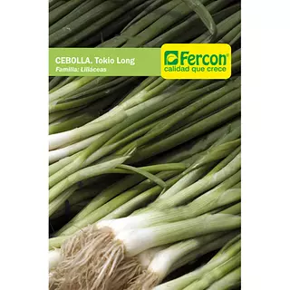 Cebolla Larga Tokyo