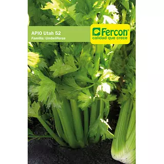 Apio Utah