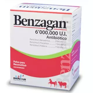 Benzagan X 6