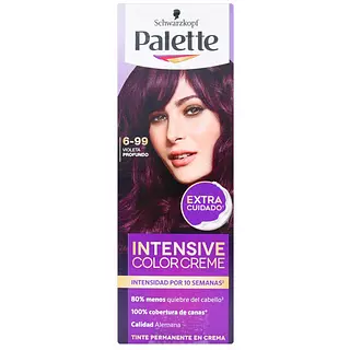 Tinte Palette Violeta Profundo 6-99