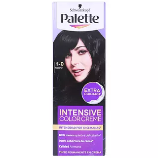 Tinte Palette Negro 1-0
