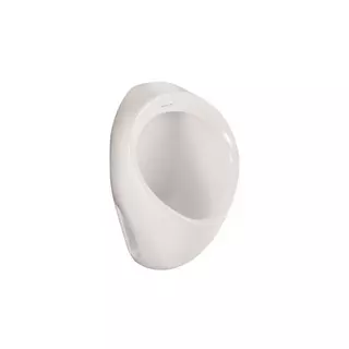 Orinal Gotta Entrada Posterior Corona