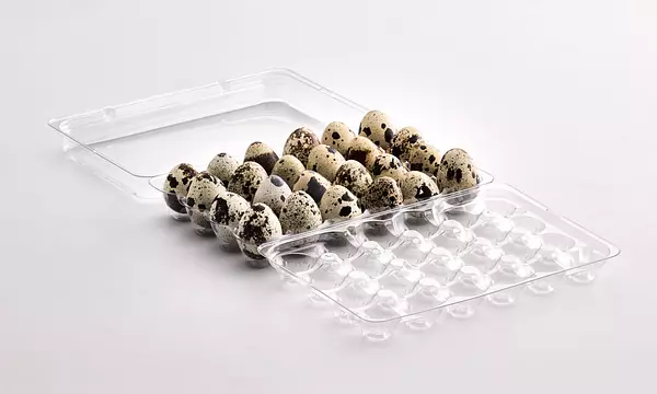 Bandeja De Huevos De Codornis