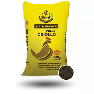 Pollo Criollo P X 40 Kg